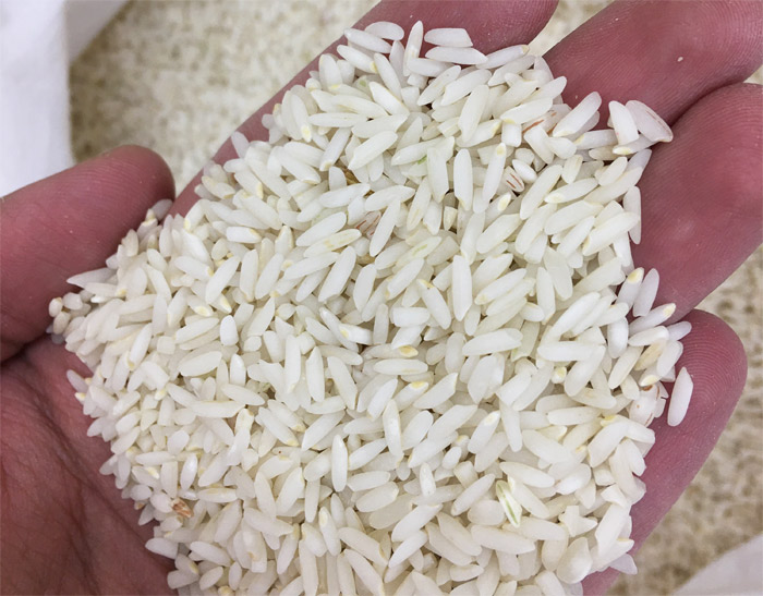 برنج علی کاظمی