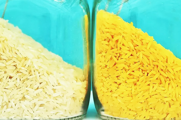 برنج تراریخته