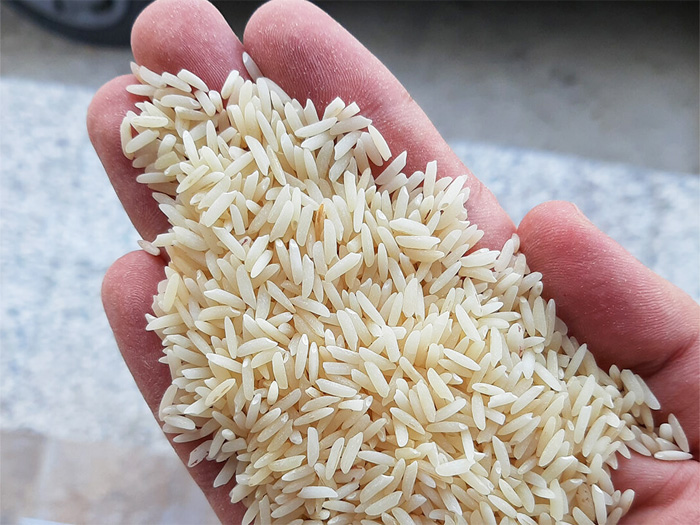 برنج میانه از کجا بخرم