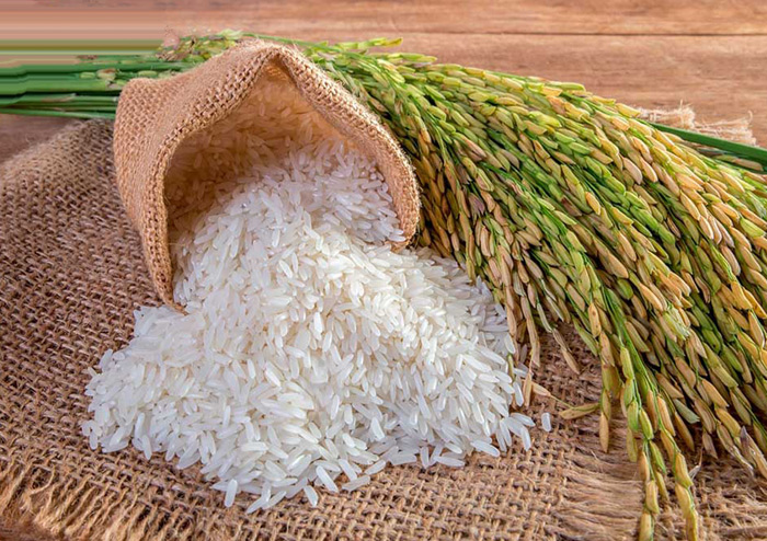 برنج ارگانیک میانه