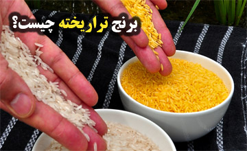 برنج تراریخته چیست و کدام برنج ها تراریخته هستند؟