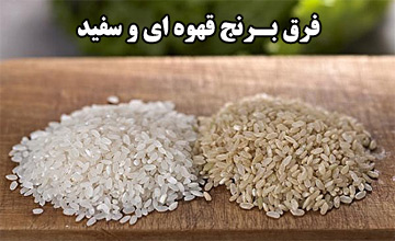 برنج قهوه ای یا سفید؟ کدام برای سلامتی بهتر است؟
