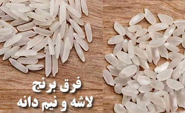 تفاوت بین برنج نیم دانه، لاشه، سرلاشه و ریز دانه در چیست؟