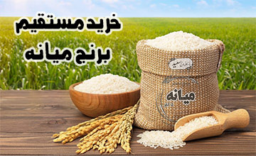 چرا خرید مستقیم برنج از مزارع میانه بهترین انتخاب است؟