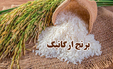 برنج ارگانیک چیست و چرا باید آن را انتخاب کنیم؟