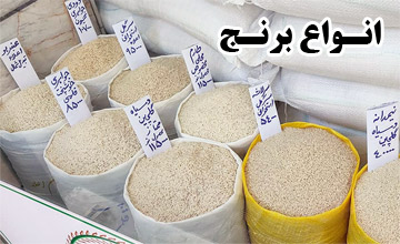 انواع برنج ایرانی و خارجی + بررسی ویژگیها و تفاوت های آنها