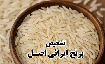 راهنمای کامل تشخیص و خرید برنج ایرانی اصل و باکیفیت