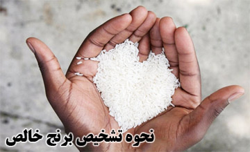 روش های تشخیص برنج خالص از برنج های ناخالص