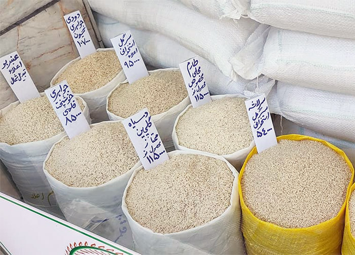 انواع برنج ایرانی